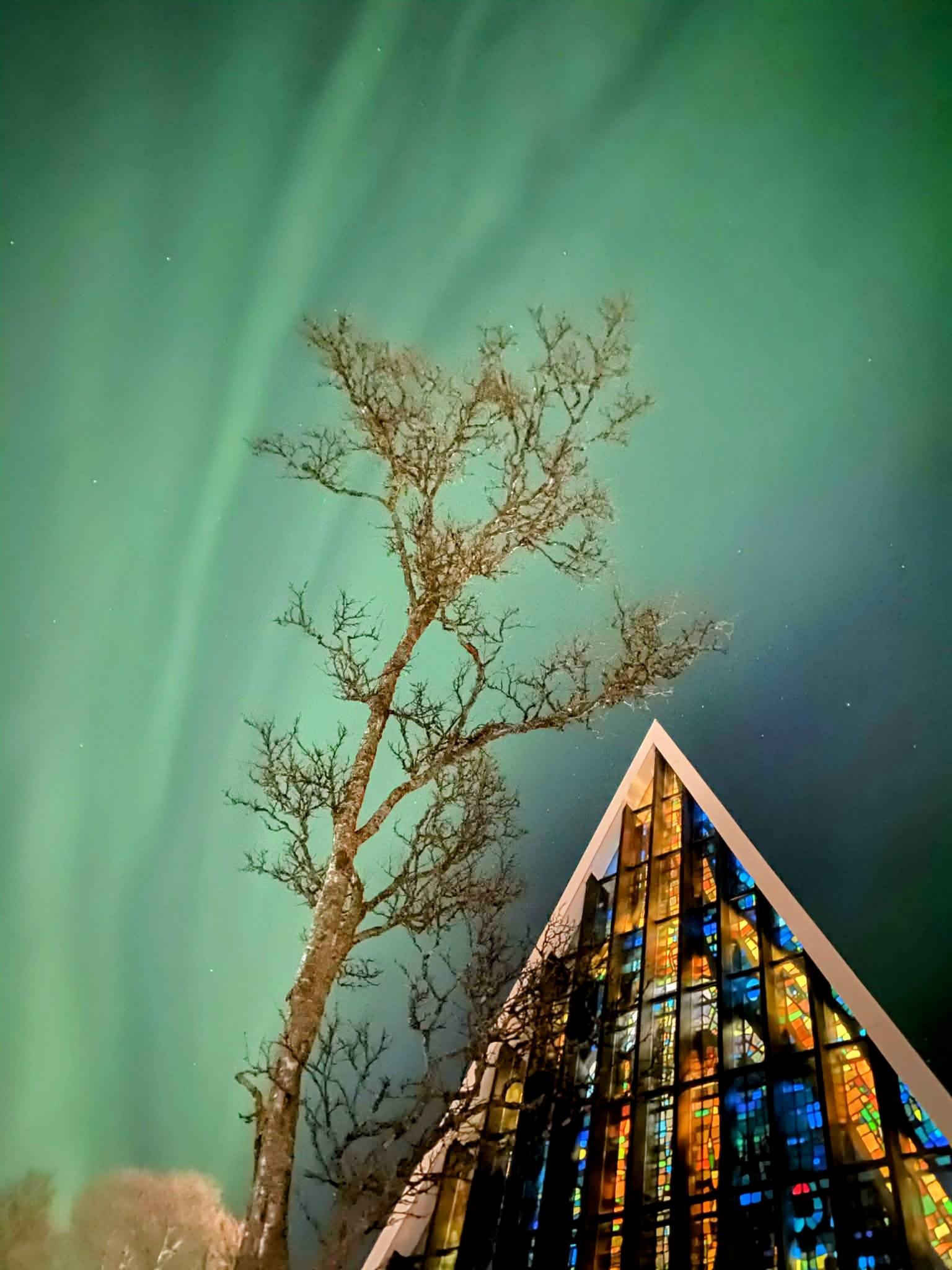 Hålogaland nordlys